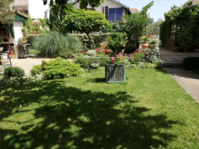 Apartments Marijana